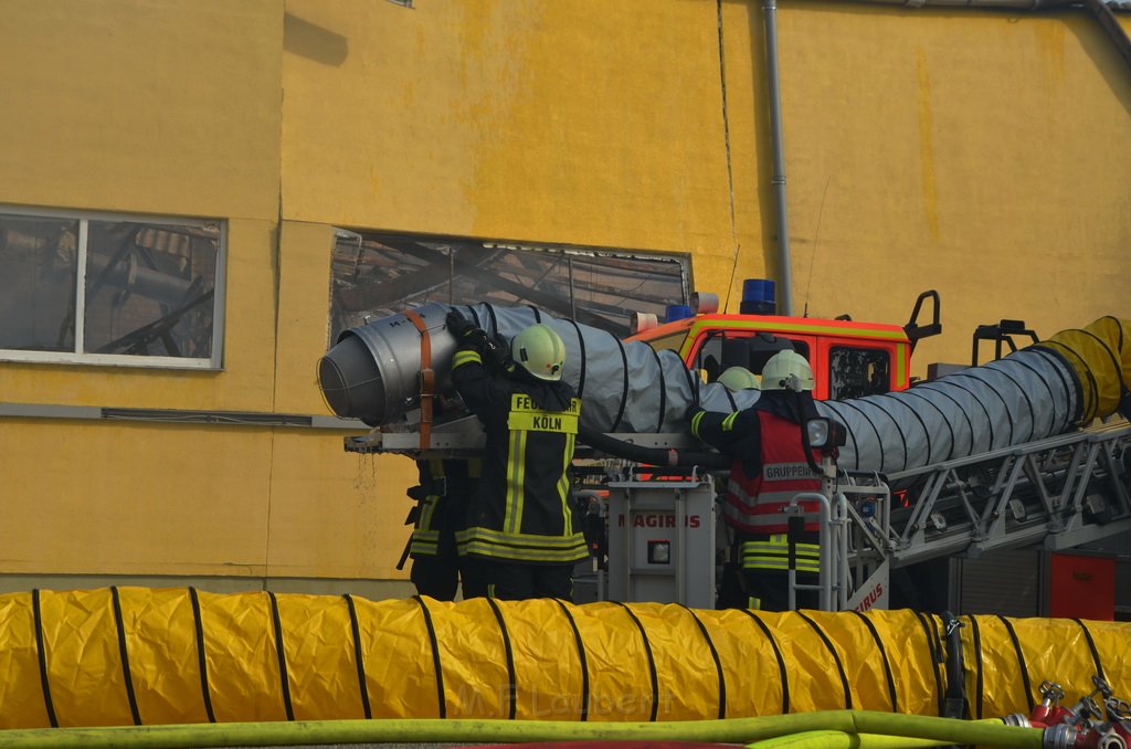 Grossfeuer Poco Lager Koeln Porz Gremberghoven Hansestr P659.JPG - Miklos Laubert